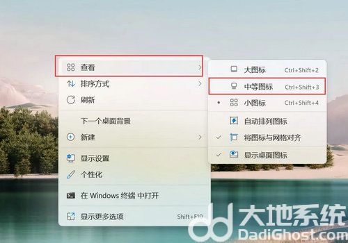 windows11桌面图标大小怎么调 windows11桌面图标大小调整教程