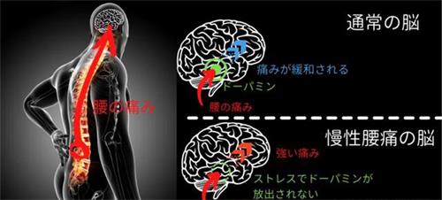 健身环大冒险可以减肥吗 健身环大冒险减肥效果怎么样