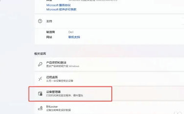 windows11怎么查看显卡型号 windows11显卡型号查看教程