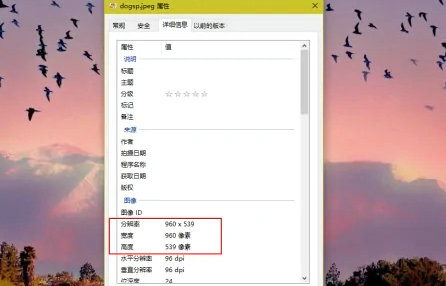 windows10怎么看图片属性 windows10图片属性查看方法