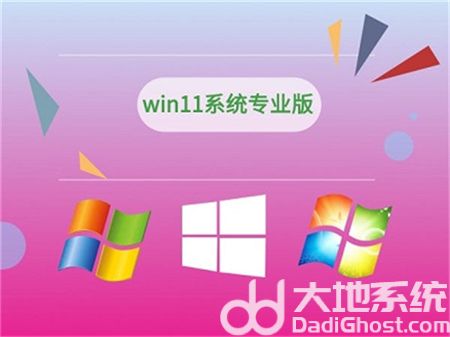 windows11专业版和家庭版的区别是什么 windows11专业版和家庭版的区别介绍
