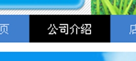 淘宝店铺导航装修编辑教程 淘宝新旺铺导航CSS代码使用修改技巧