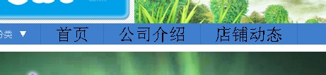 淘宝店铺导航装修编辑教程 淘宝新旺铺导航CSS代码使用修改技巧