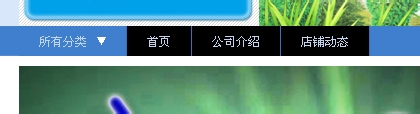 淘宝店铺导航装修编辑教程 淘宝新旺铺导航CSS代码使用修改技巧