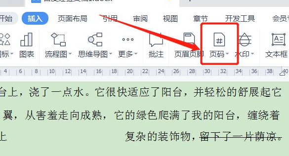 word文档页码怎么设置居中的步骤教程