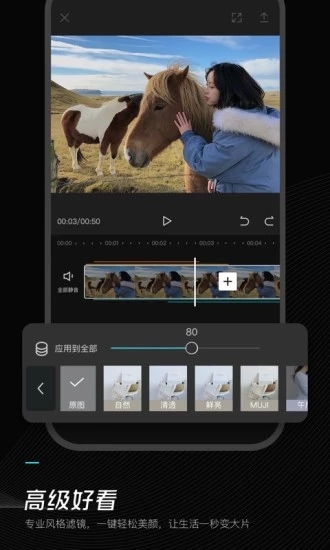 剪映APP V4.9.1 安卓版