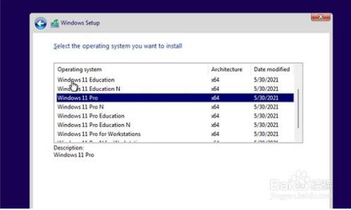 小编教你如何下载最新版win11系统