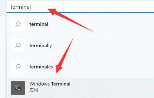 电脑提示windows找不到文件wt.exe怎么办