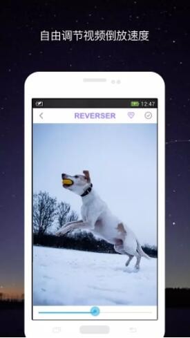 视频倒放 安卓版v2.1