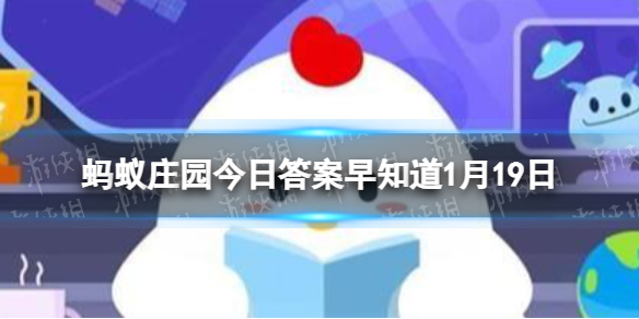 洗衣机需要定时清理吗 蚂蚁庄园今日答案早知道1月19日