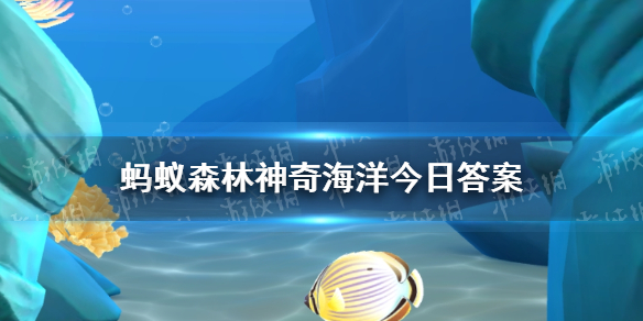 以下哪种海洋动物有“水中除草机”之称 神奇海洋10月14日答案最新