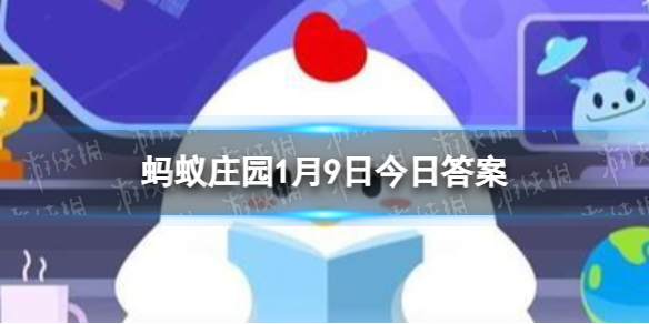 冬天树为什么要刷白石灰 蚂蚁庄园冬天树木刷白灰的作用