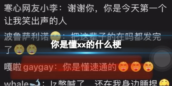 你是懂xx的什么梗 你是懂xx的什么意思