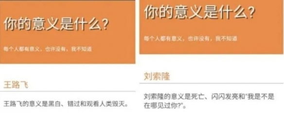 你的意义是什么鬼东西 你的意义是什么测试地址