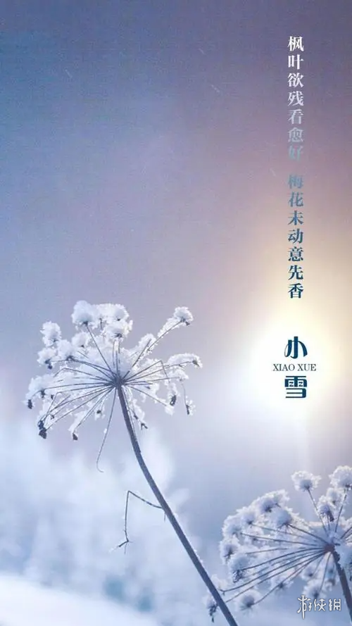 小雪节气图片大全 小雪节气高清壁纸分享