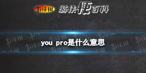 you pro是什么意思 you pro意思介绍