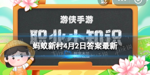 训狗师可以矫正狗的不良行为吗 蚂蚁新村今日答案4.2