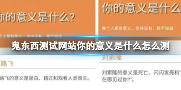 鬼东西测试网站你的意义是什么怎么测 网站你的意义是什么测试介绍