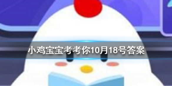 小鸡宝宝考考你飞机在起飞、降落时，一般要顺风还是逆风