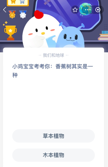 小鸡宝宝考考你:香蕉树其实是一种？