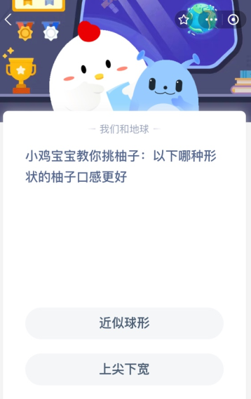 小鸡宝宝教你挑柚子:以下哪种形状的柚子口感更好？