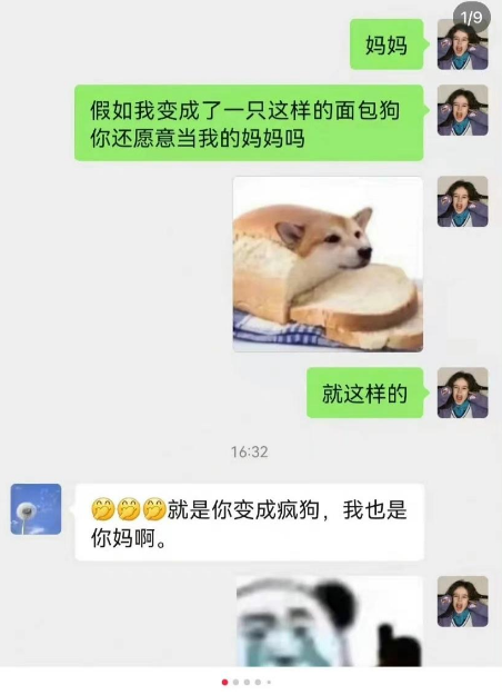 面包狗什么梗 假如我变成面包狗是什么梗