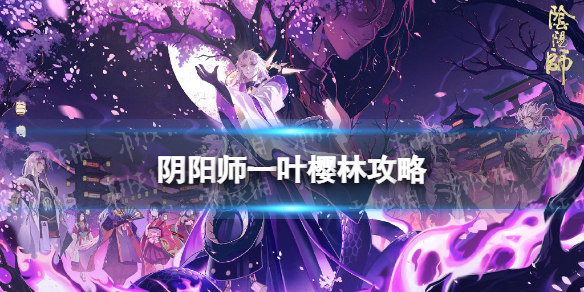 阴阳师一叶樱林攻略