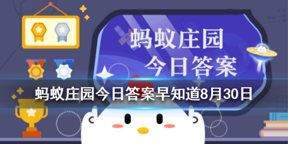 有些人喜欢天不亮就起床锻炼身体，这么做对健康 蚂蚁庄园今日答案早知道8月30日