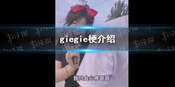 giegie是什么梗 giegie梗介绍