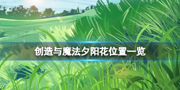 《创造与魔法》夕阳花在哪里 创造与魔法夕阳花位置一览