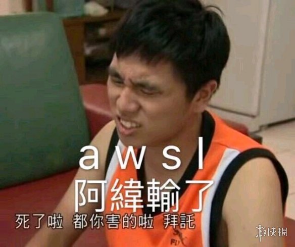 awsl是什么梗 awsl出处功法