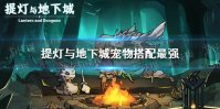 《提灯与地下城》宠物搭配最强 最强宠物搭配攻略