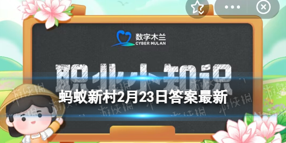 蚂蚁新村职业小知识2月23日答案 以下哪种称呼指的是古代的厨师