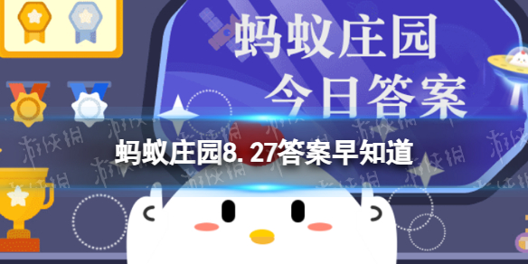 桉树叶难嚼，却是哪种动物的美食 蚂蚁庄园8.27答案早知道