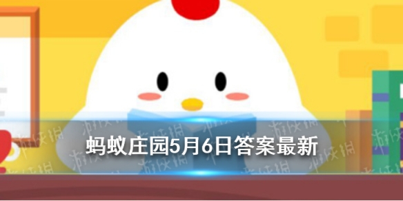 瓜子的脂肪蚂蚁庄园 瓜子的脂肪含量高吗答案是什么