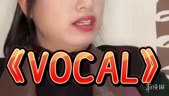 vocal是什么意思