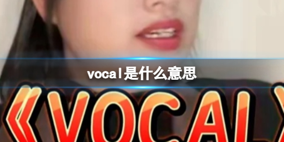 vocal是什么意思