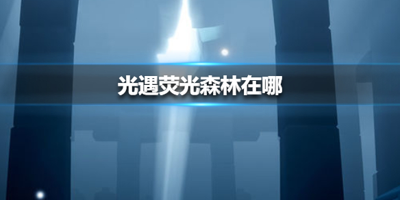 《光遇》荧光森林在哪 荧光森林位置介绍