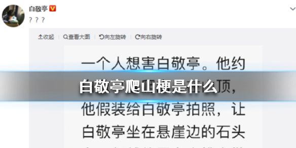 白敬亭爬山梗是什么 白敬亭爬山梗介绍