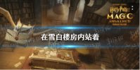 在雪白楼房内站着 哈利波特10.13拼图寻宝攻略