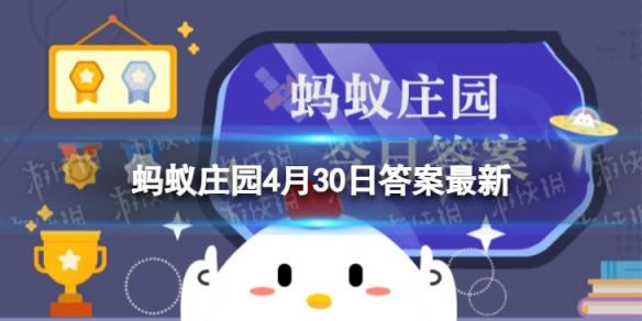 4月30日什么日子 国际不打小孩日是哪一天