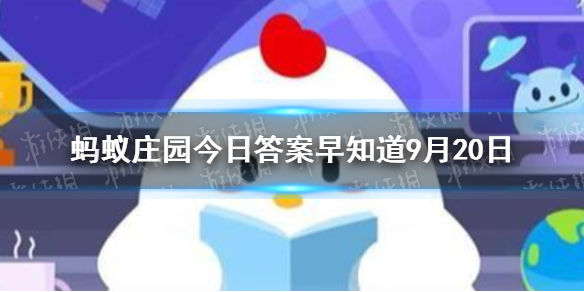 “水果分公母,母的更甜更好吃”，该说法 蚂蚁庄园今日答案早知道9月20日