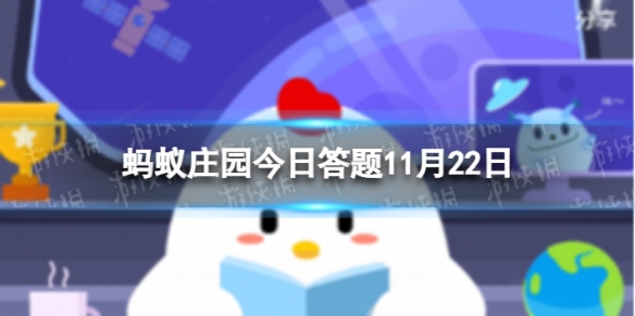 小雪铲白菜指的是 蚂蚁庄园11月22日答案