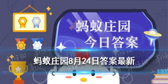 染发前一天不洗头 染发蚂蚁庄园8月24日答案最新