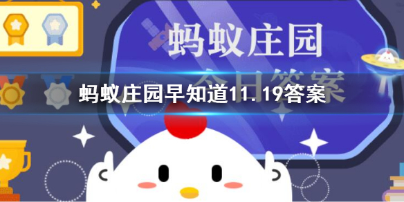 猜一猜长颈鹿可以多久不喝水 蚂蚁庄园11.19答案早知道