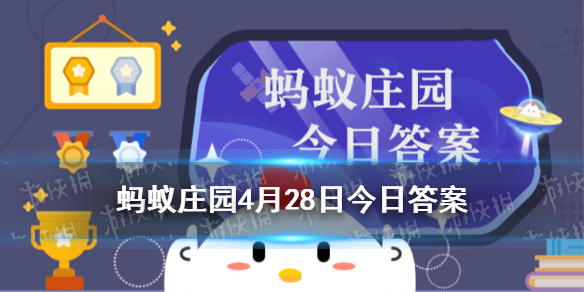 口香糖会粘在肠道上吗蚂蚁庄园 庄园小课堂今日答案2021年4月28日