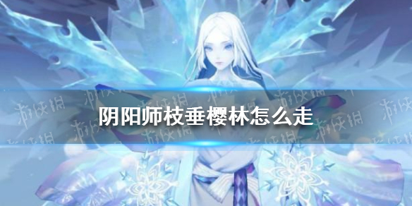 《阴阳师》枝垂樱林怎么走 枝垂樱林路线图汇总