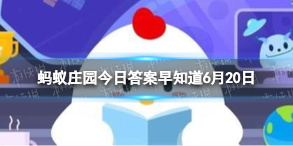 小鸡宝宝考考你:成语“久假不归”指的是 蚂蚁庄园今日答案早知道6月20日