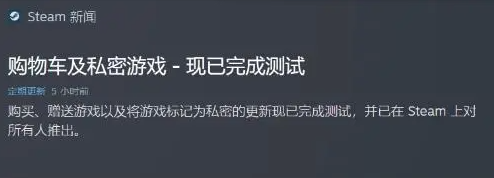 Steam私密游戏功能是什么 Steam私密游戏功能介绍