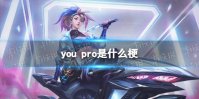 you pro是什么梗 小虎youpro梗介绍